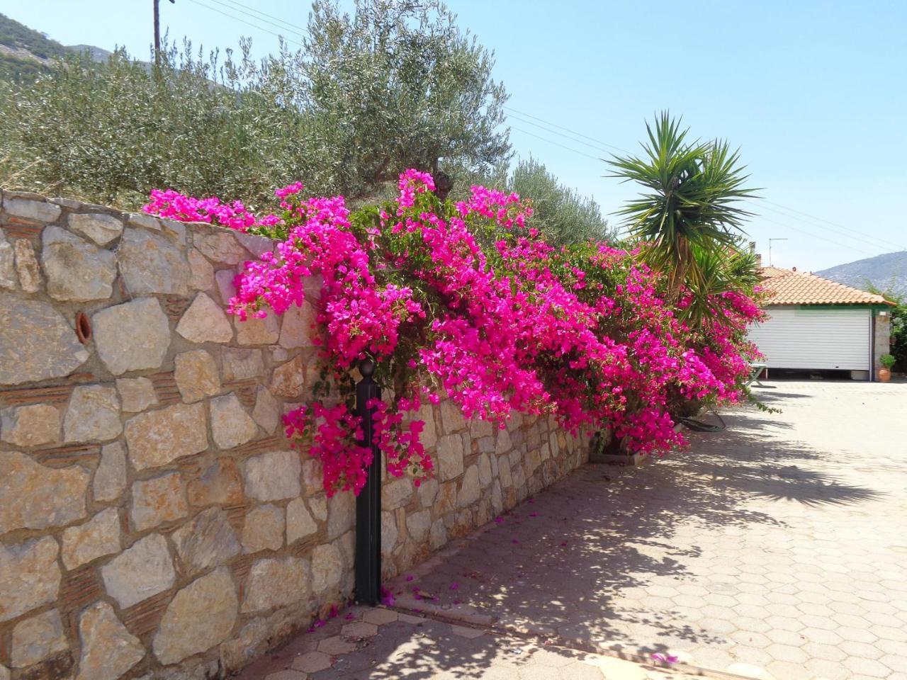 Villa Bamour With Paradise View Epidaurus Exterior foto
